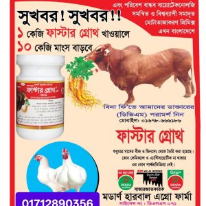 ফাস্টার গ্রোথ ১ কেজি পাউডার